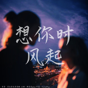 想你时风起