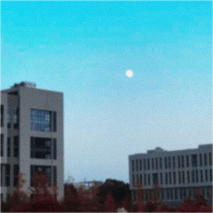 花楼街
