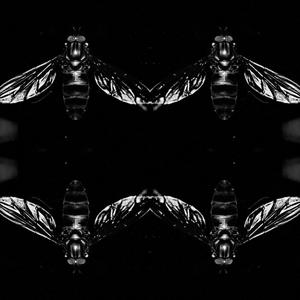 A-12 (freestyle beat)