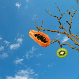 Samvittighed er smukt