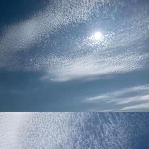 一颗青春的心 伴奏