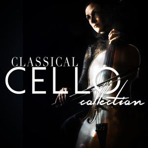 Cello Suite No. 1 in G Major, BWV 1007: I. Prelude