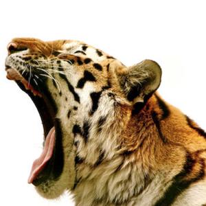 北野 -- Japanese & Trap Type Beat