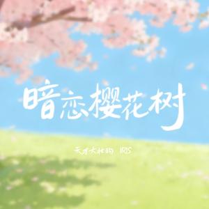暗恋樱花树（橹穆同人曲）.wav