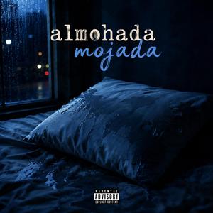 Almohada mojada