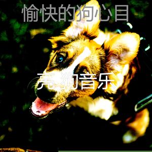 一尘不染小狗印象数