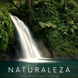 Estruendos De Cataratas