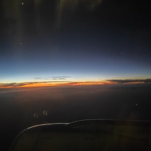 晚风带走了假象