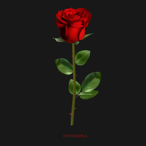 Invidiosa