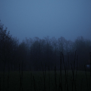 blured (Slowed)