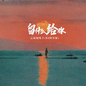 留什么给你 (DJ版)