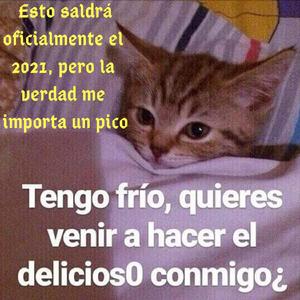 Con Un Gato En Pichilemu