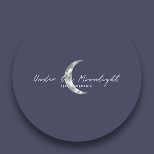 Under the Moonlight (Original Mix)