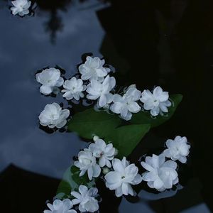 2925km./Prod. Lakewavebeatz