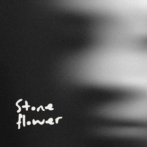 Stoneflower