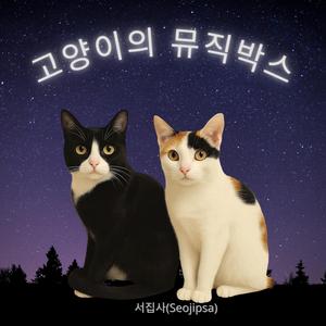 겨울 고양이(빨간 모자 산타가 내게도 올까?)