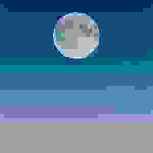 Nightlife And Paradise