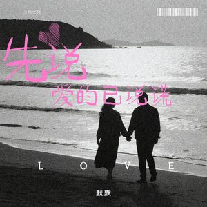 先说爱的已说慌