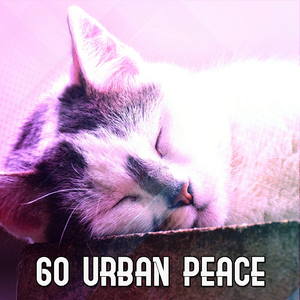 Rain in the Tree Tops