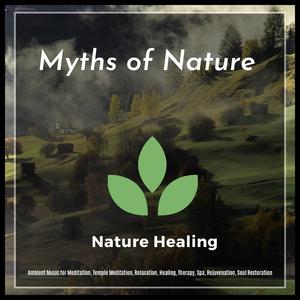 Mesmerized By The Beauty