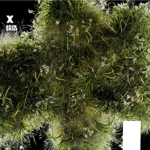 1_音频提取_180943_track1