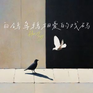 白鸽乌鸦相爱的戏码