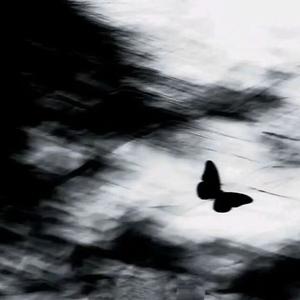 幻想爱（Fantasy love）