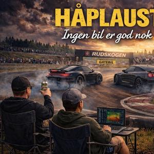 Ingen bil er god nok