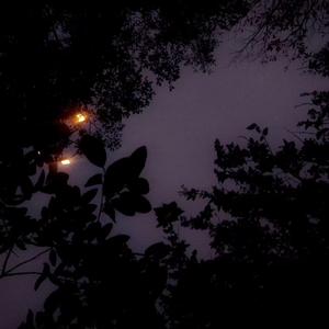 “雨雾”Type beat