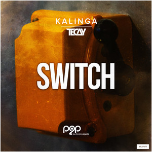 Switch (Extended Mix)