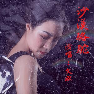 沙漠骆驼 铃声版