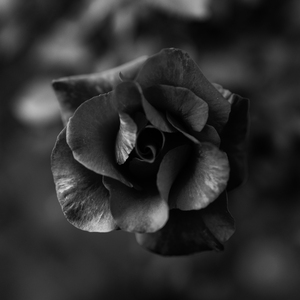 Black&White