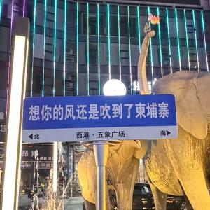 勇闯柬埔寨-DJ可可