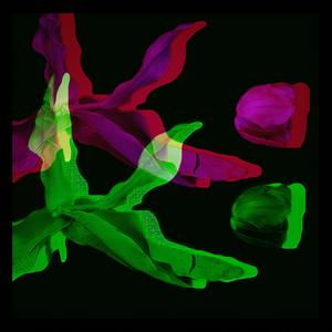 Kuolleita kukkasii (feat. RYSTY)