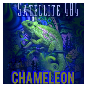 Chameleon