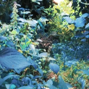 一切爆炸的一天