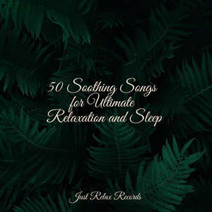 Twilit Lullaby Symphony