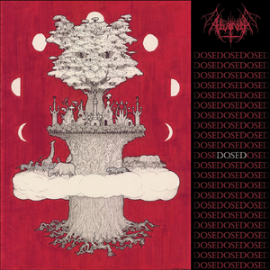 An Endless Array of Colors and Diverse Lifeforms