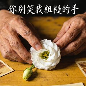 你别笑我粗糙的手(风霜对唱版)