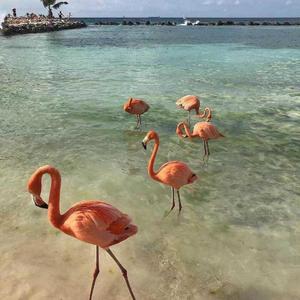 Jason Derulo-Savage Love（VaSka / CaSsie remix）