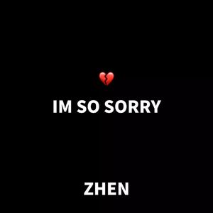 IM SO SORRY 2.0（忏悔录）（Prod.Gr33nart Beats）