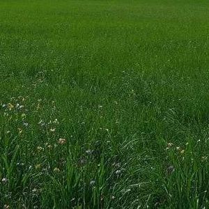 信息风-整曲 伴奏