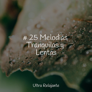 Relájate Por Dentro