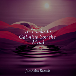 Fading Echoes of Nostalgia