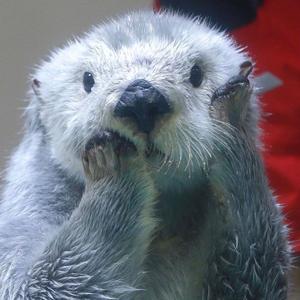 春天里（大学毕业版）