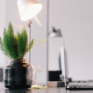 하루의 일을 시작하기