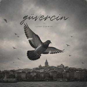Güvercin