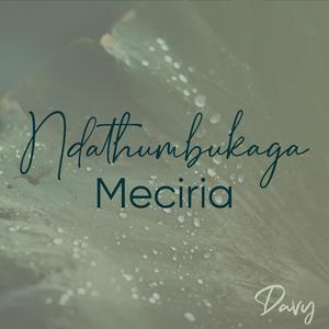 Ndathumbukaga Meciria-