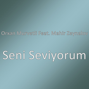 Seni Seviyorum