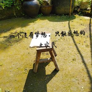 一个没啥梦想，只能妄想的土农民